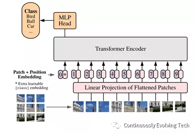 Vision Transformer model structure
Source: AN IMAGE IS WORTH 16X16 WORDS:TRANSFORMERS FOR IMAGE RECOGNITION AT SCALE