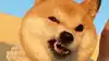 大白