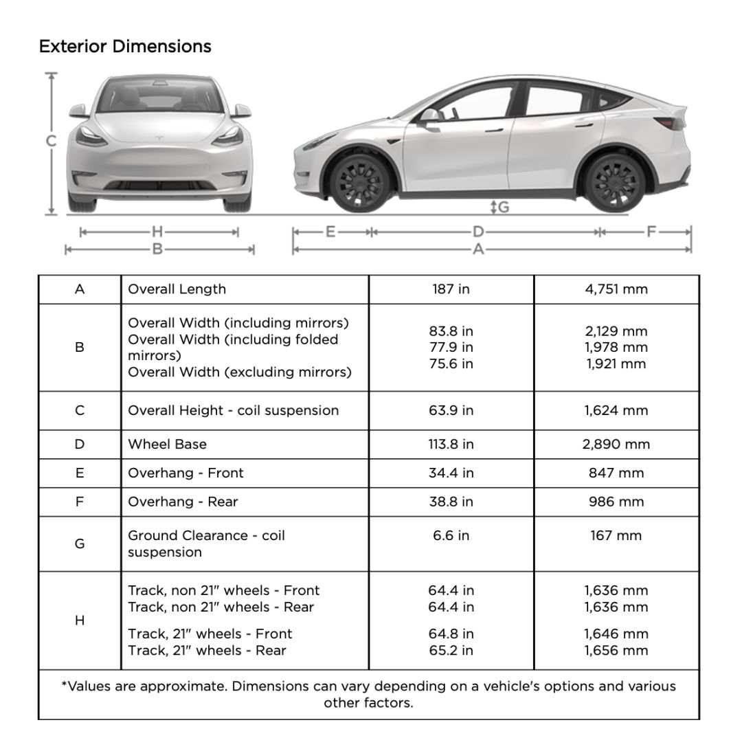 Model Y body size