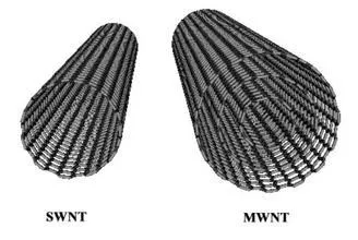 On the left is a single-walled carbon nanotube, and on the right is a multi-walled carbon nanotube