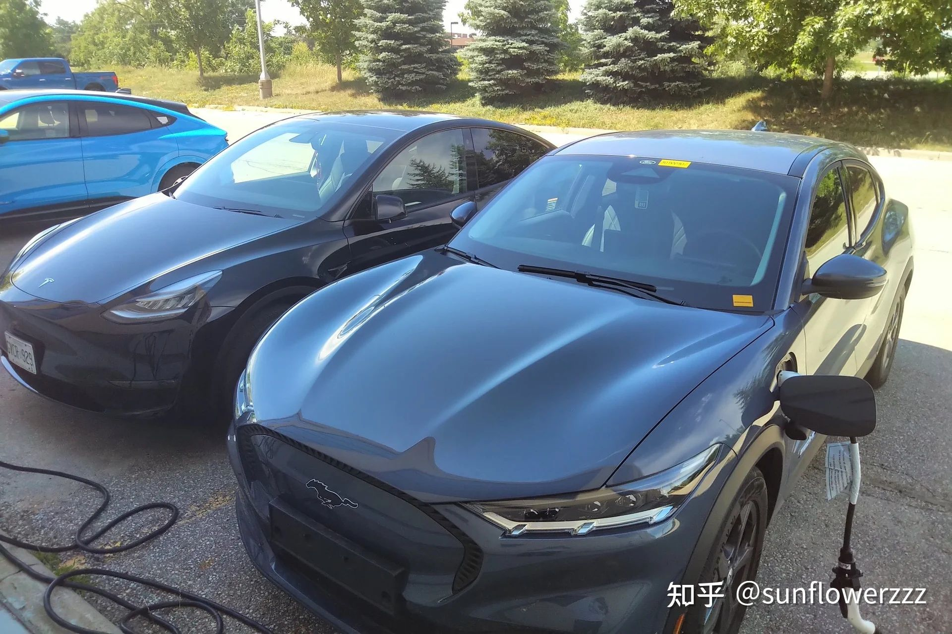 Here's a random photo of the Model Y from a forum, please don't make any assumptions (lol)