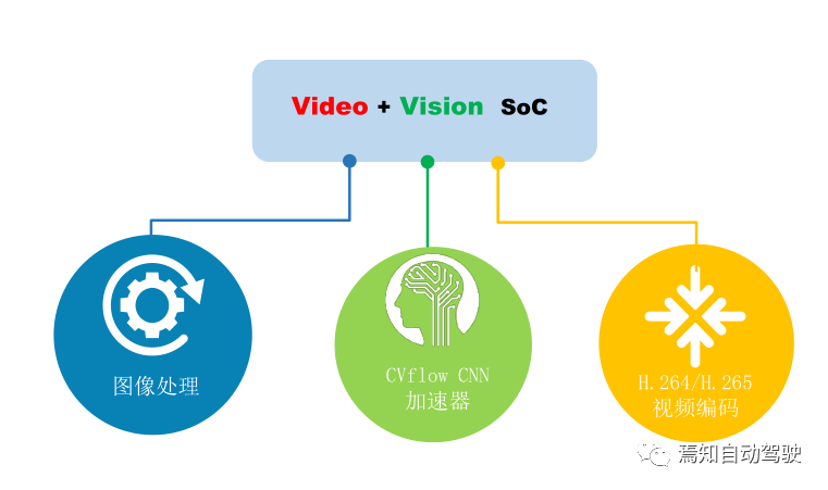 Ambarella Image Processing + Video Encoding + Visual AI Algorithms