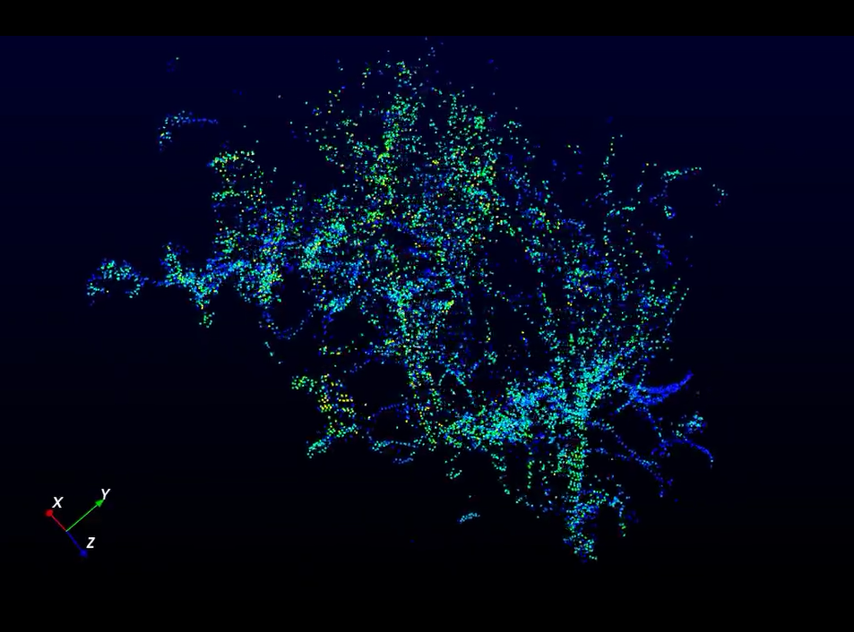 HAP's detection effect on small branches under strong light