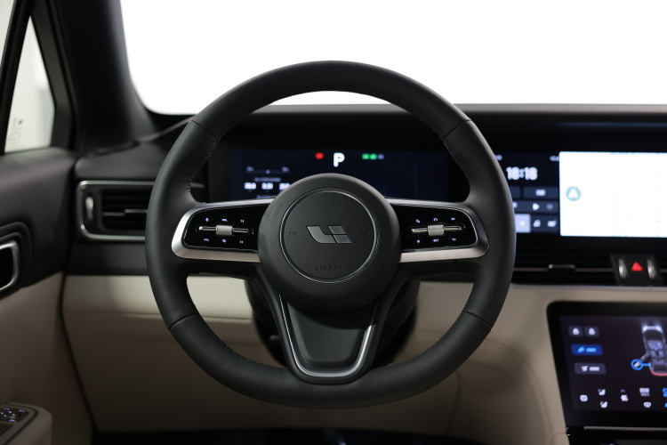 Steering Wheel of 2021 Idean ONE