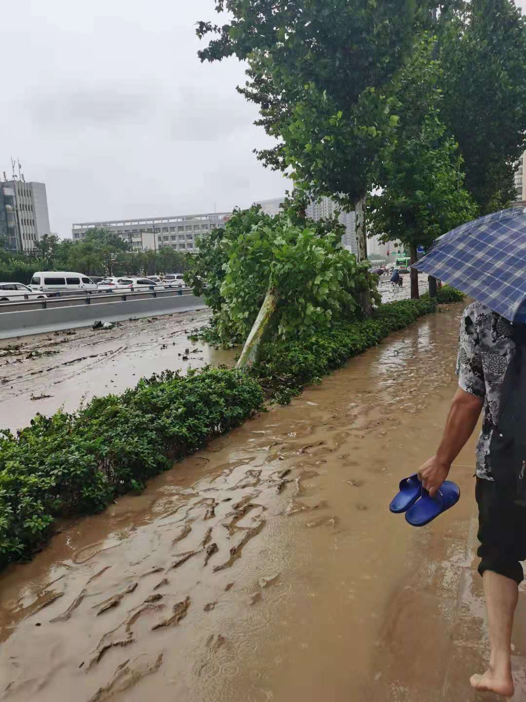 The road is full of mud, water, and stranded vehicles