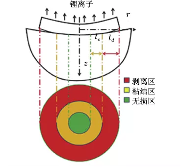 Figure 11 Bending deformation during lithium stripping process