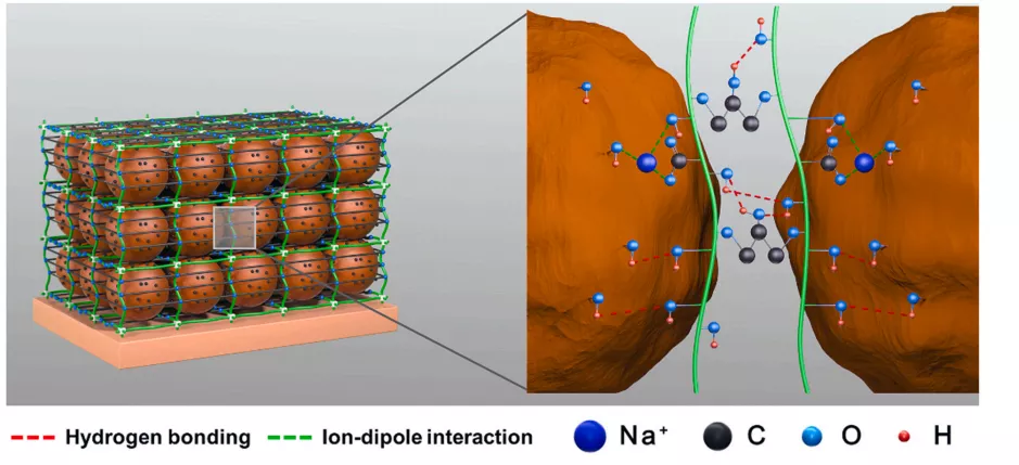 Figure 13 Schematic illustration of silicon negative electrode material using PG-c-ECH as adhesive