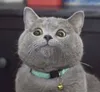 ding ding