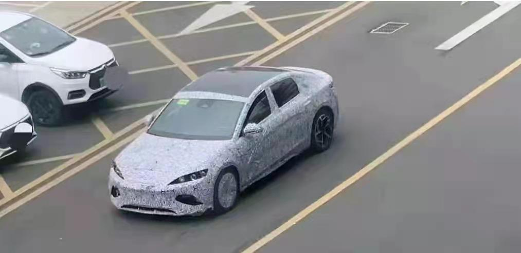 BYD Dolphin Spy Shots