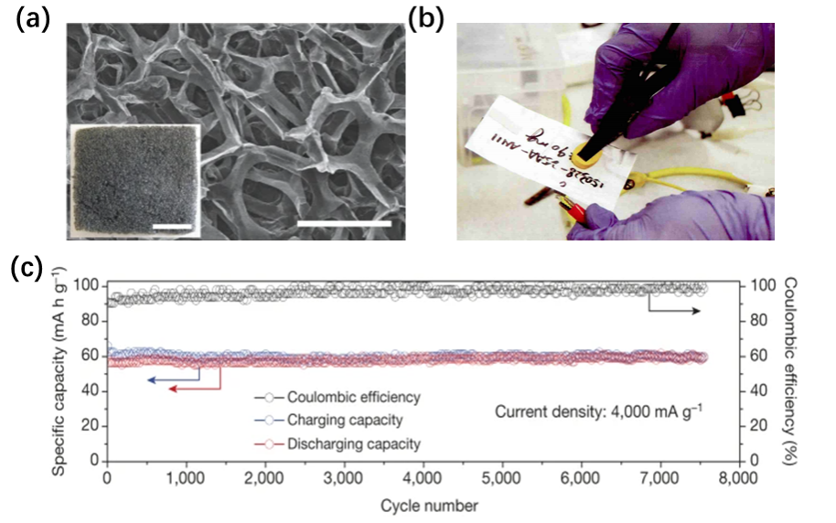 Fig. (a) TEM image of the 3D graphene material; (b) Penetration experiment of the aluminum-ion battery; (c) Cycling performance of the aluminum-ion battery.