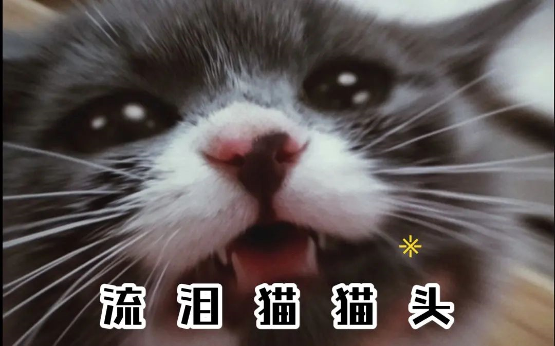 「Fine」 with a crying cat emoji saying that they won't work 12 hours anymore.