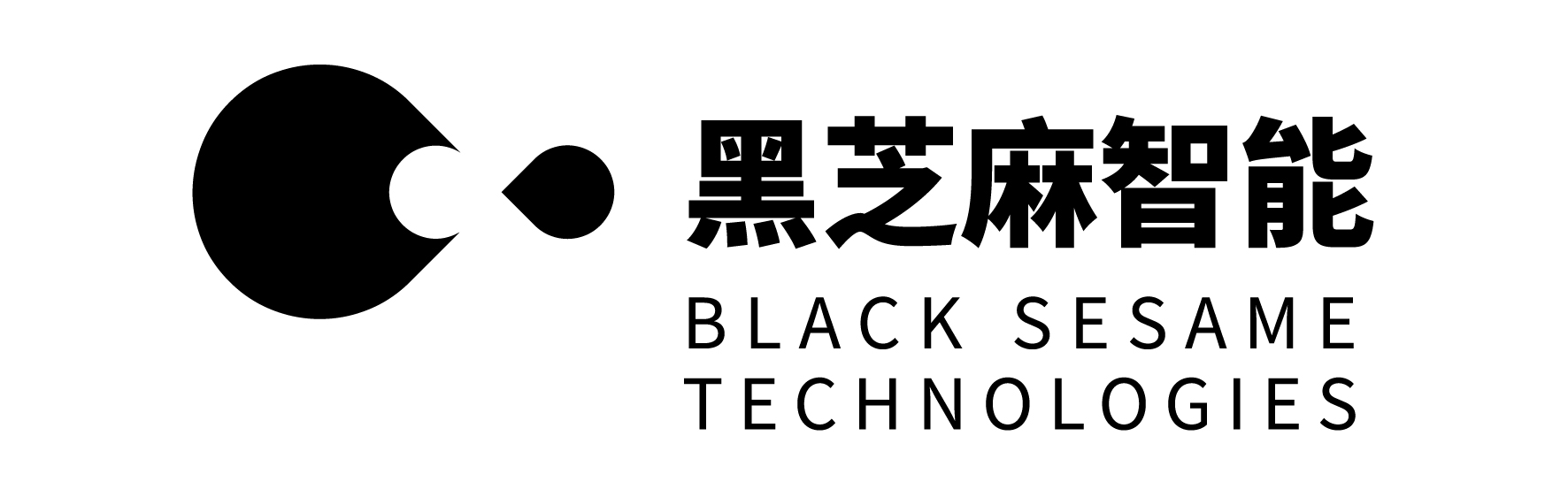 Black Sesame Intelligent Technology Co., Ltd.