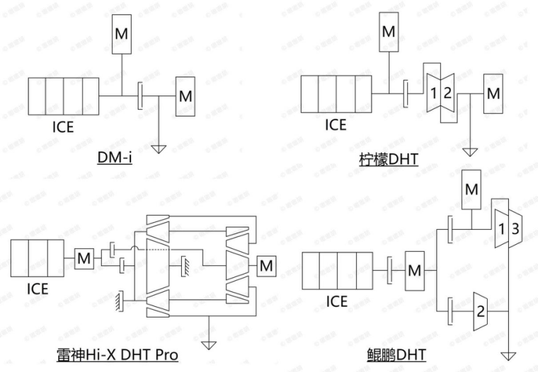 DHT's structure can vary