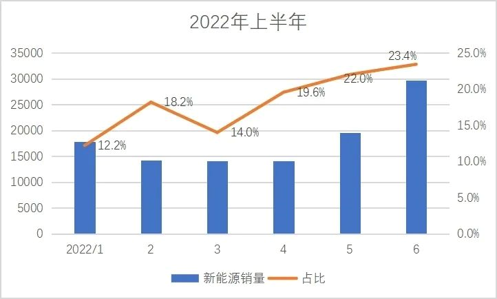 Geely Sales Pie Chart 2021