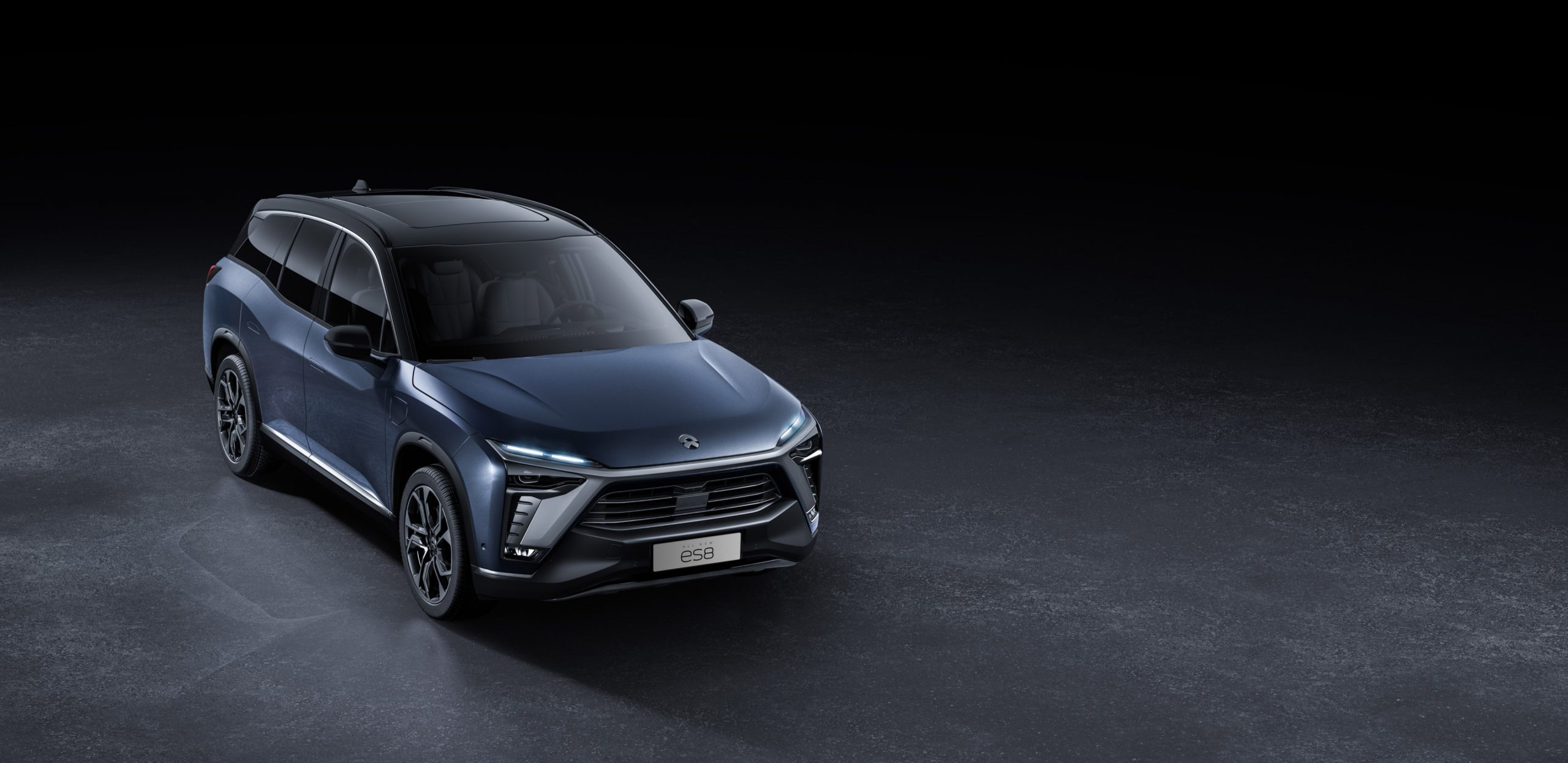 NIO's 2019: A rollercoaster ride of ups and downs.