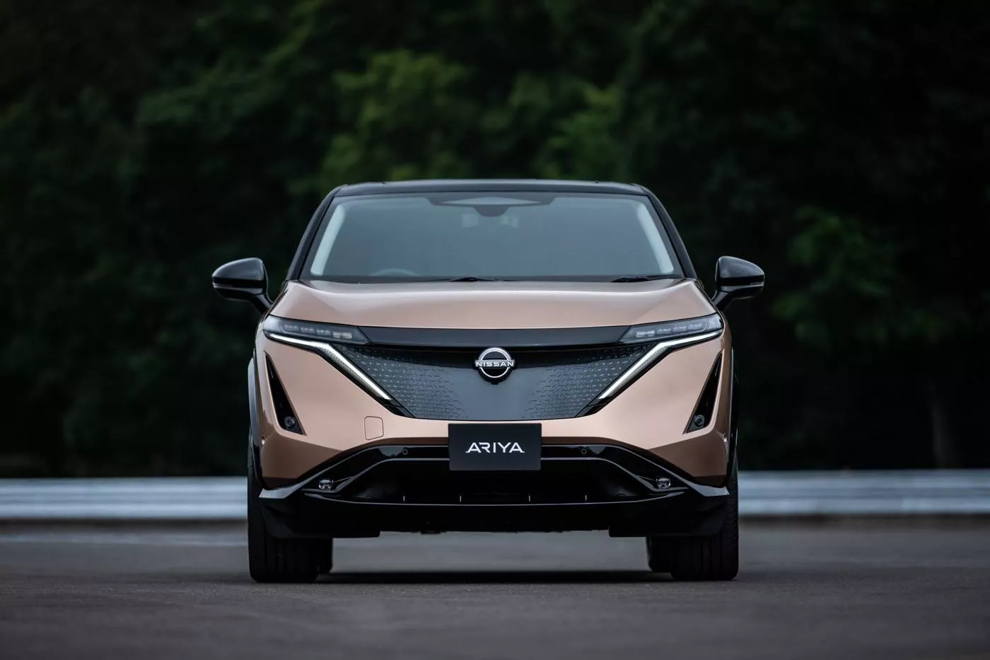 The Nissan Ariya will enter the Chinese market in 2021.