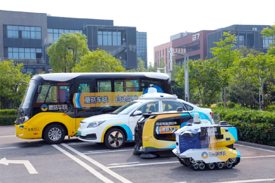 Why do they all favor Mushroom Car Alliance?