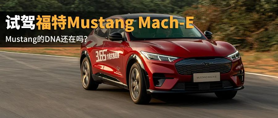 "Electric Horse" is coming! Is Model Y worried? Test drive the Ford Mustang Mach-E.