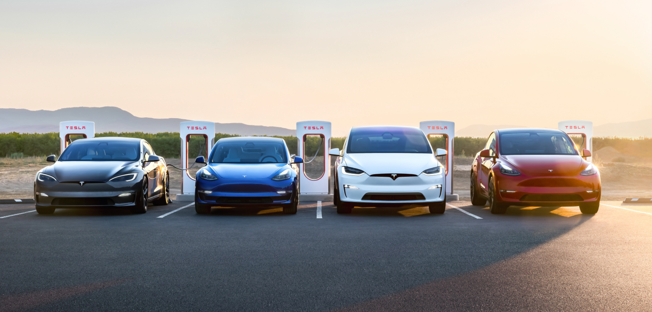 Which electric car companies rank high in Tesla's eyes?