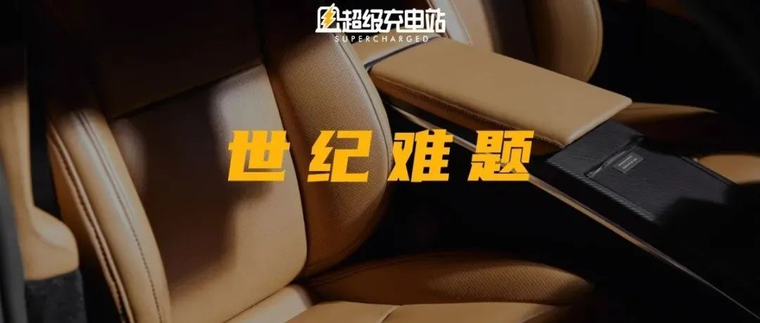 This set of bamboo interior exclusive to Tesla is more expensive than a Model 3.