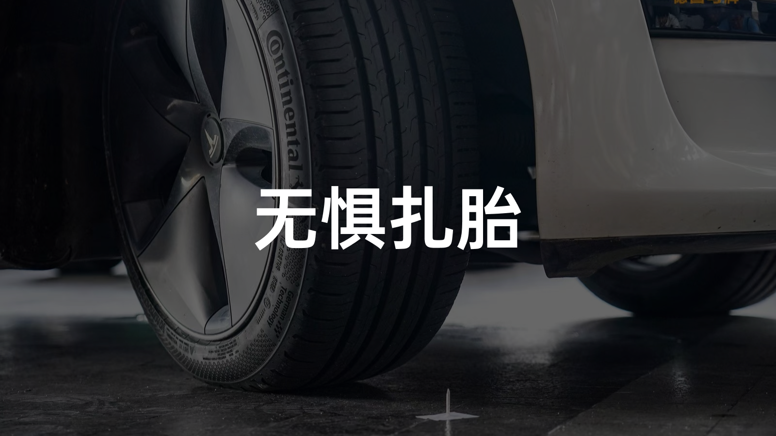 Stop the infighting. I'm actually going to learn from a tire.