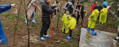The tree planting event organized by the car club and delivery service center was fantastic.