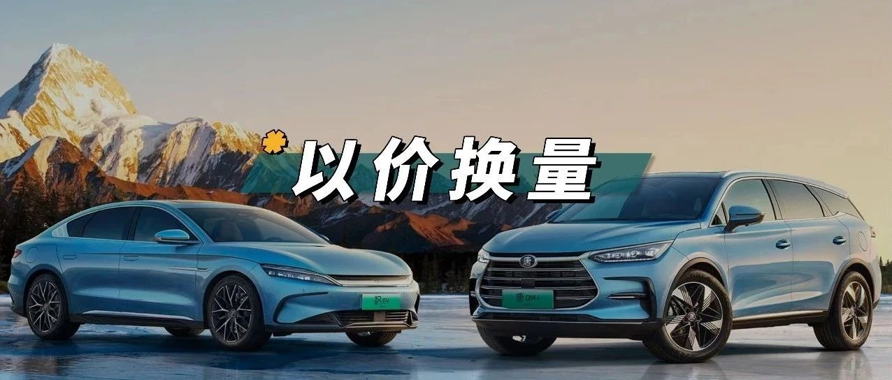 Learn how to lower prices from BYD.
