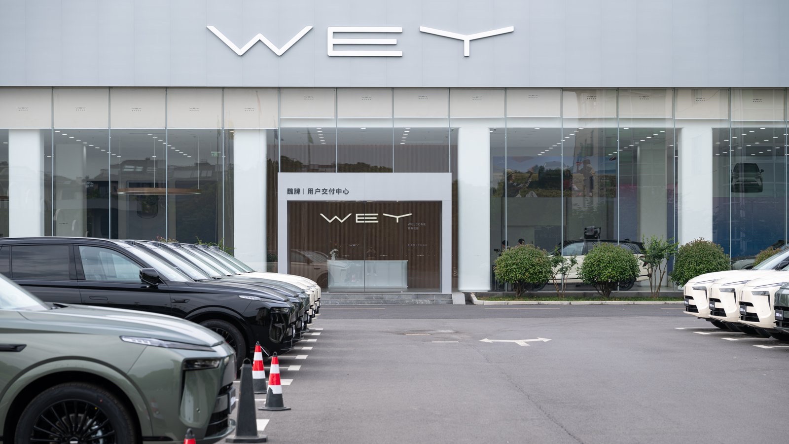 Is Great Wall's WEY Facing a New Era in EV Innovation?