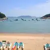 陈鹏