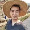 叶建文
