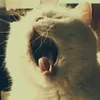 李熙