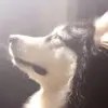 😊