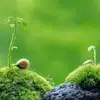 清风缘