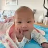 抓抓