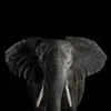 ₁₉⁸⁵Lǐ          🐘