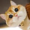 兜兜爸爸
