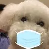 王老吉
