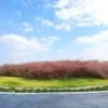 海阔天空