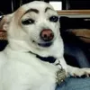 侘寂