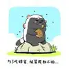 王体贺