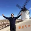 海上牛仔