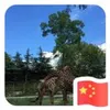 成