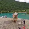 软绵绵