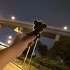鱼小鱼🐟
