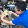 范昊龙Calvin