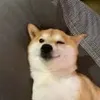 咕噜咕噜嘎嘎嘎