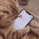 wechatAvatarUrl
