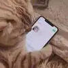营字造句和梦交易