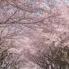 初雪的早晨