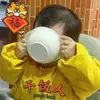 小尾寒羊 小尾寒羊